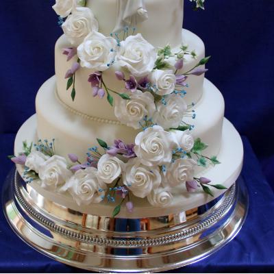 Blue Sugar Gypsophila