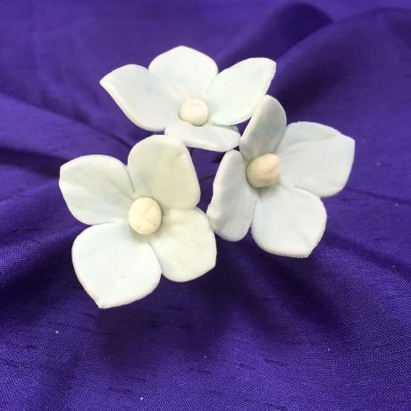Baby Blue Hydrangea Heads
