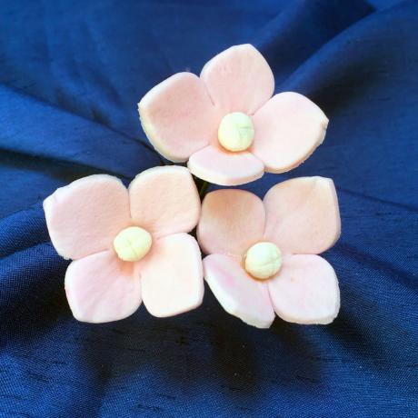 Baby Pink Hydrangea Heads