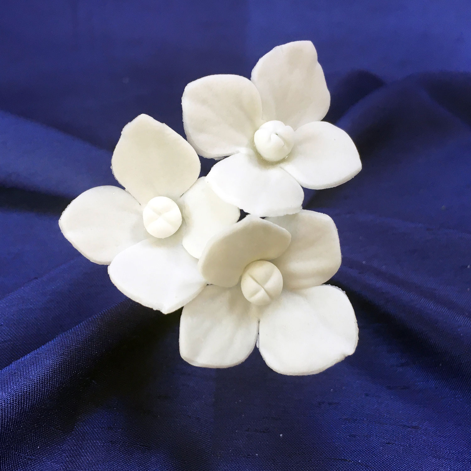 White Hydrangea Heads
