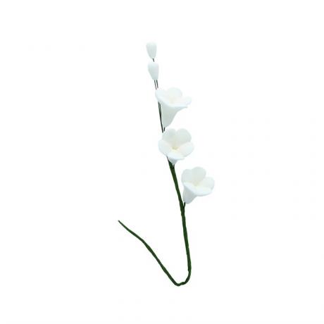 Sugar Sampaguita Flowers