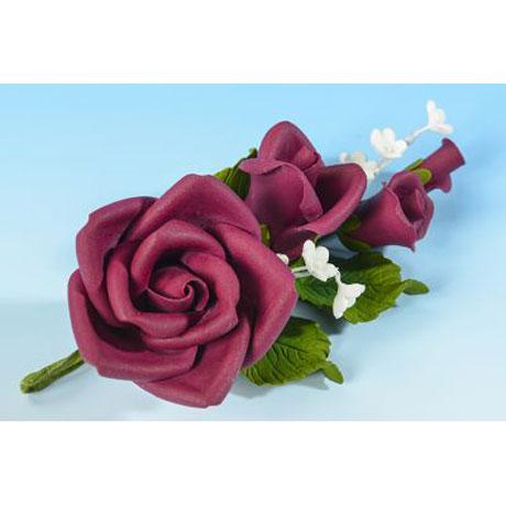 Burgundy Rose