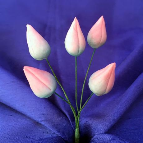 Dusky Pink Buds