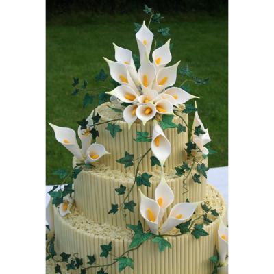 Sugarcraft Calla Lilies