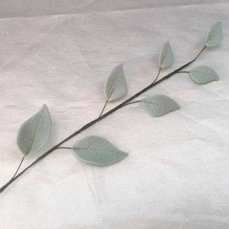 Eucalyptus Trailing Leaves