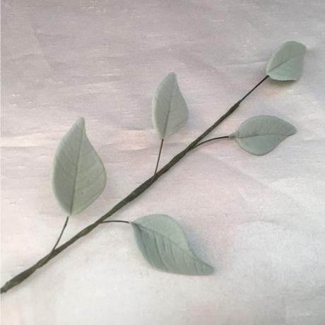 Eucalyptus Trailing Leaves