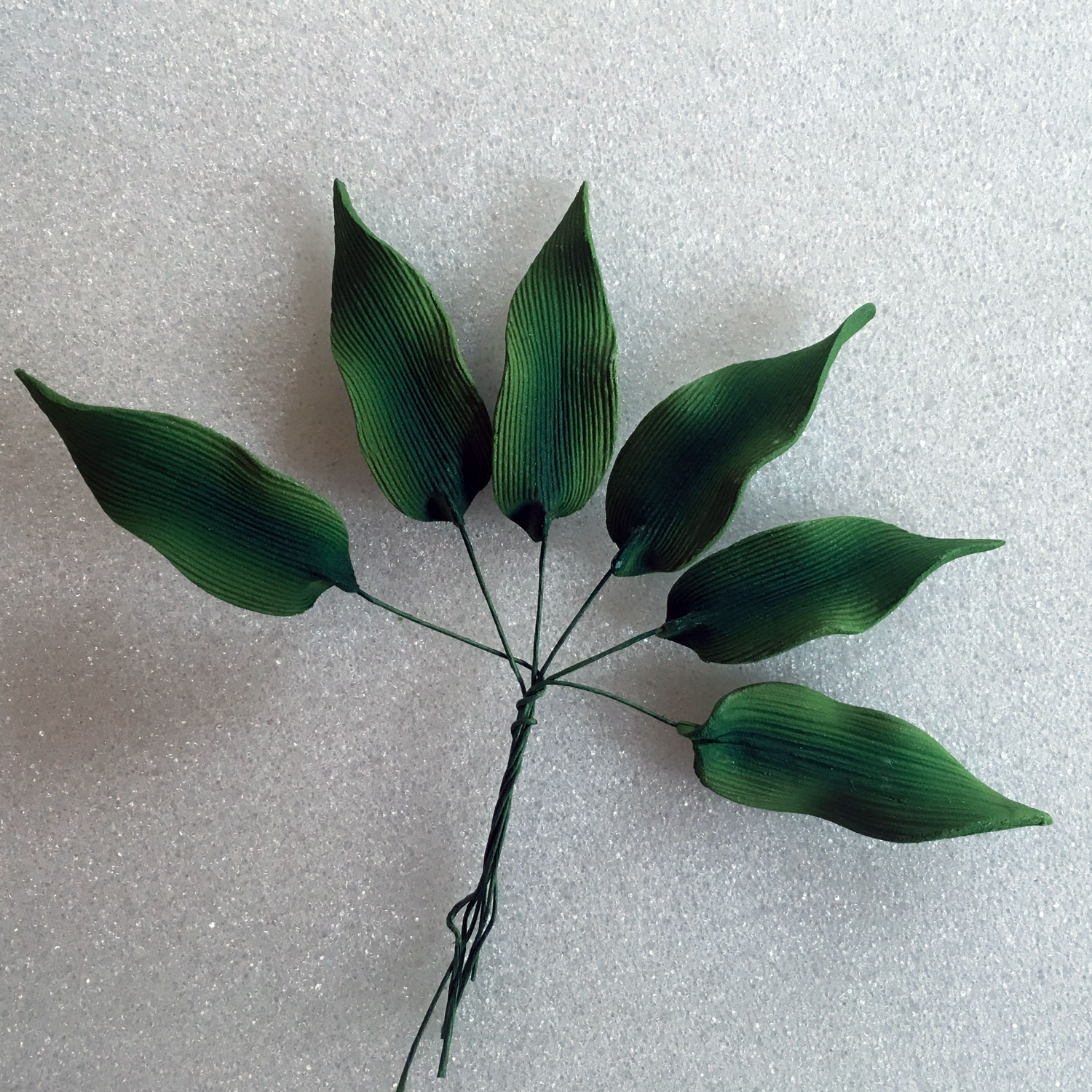 Calla Lily Leaves