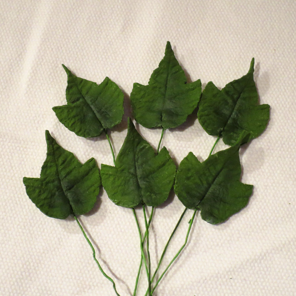 Large Green Ivy Leaves