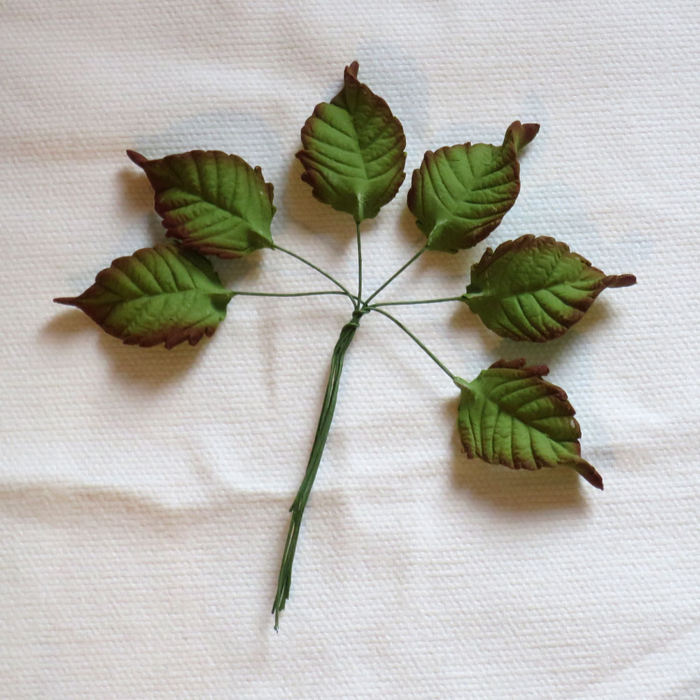 Large Tinted Sugar Rose Leaves