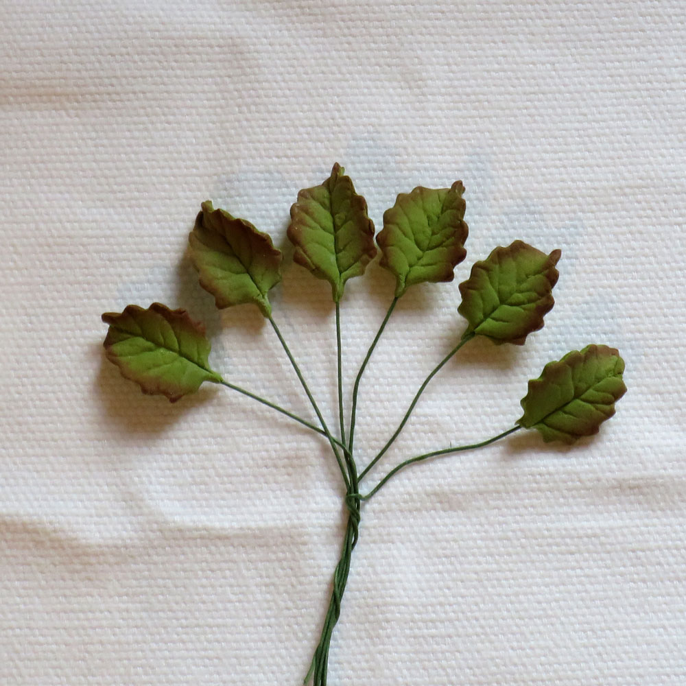 Medium Tinted Rose Leaves