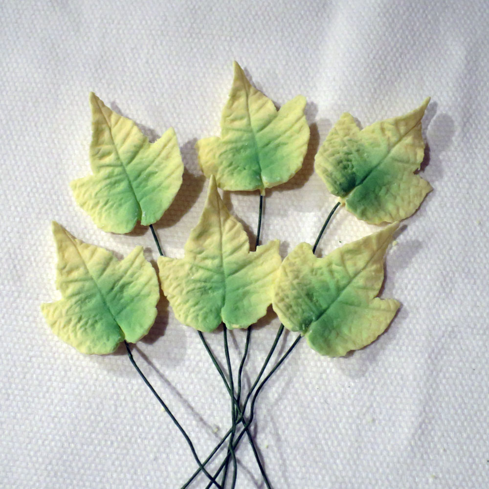 Medium Sugar Ivy Leaves