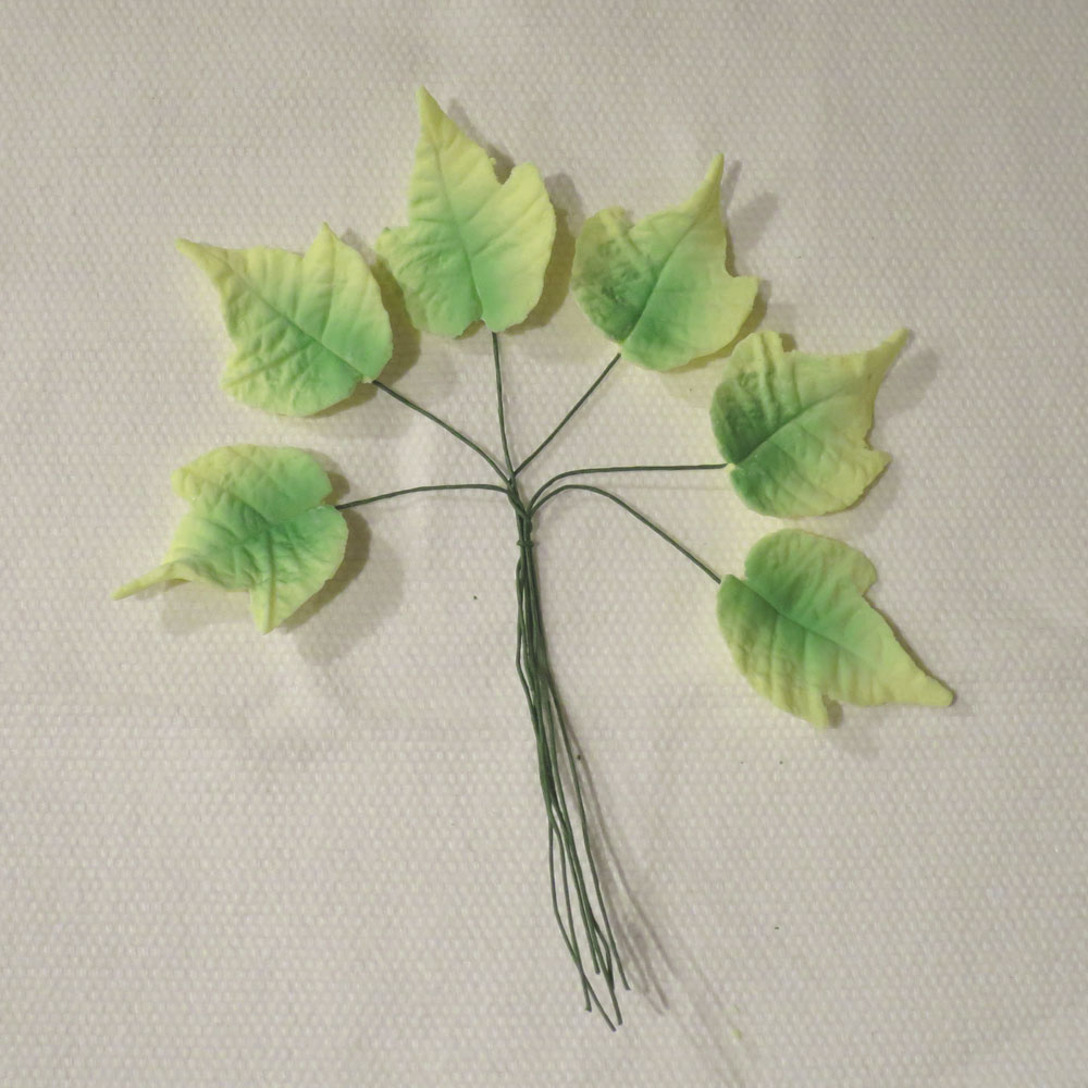 Small Variegated Ivy Leaves