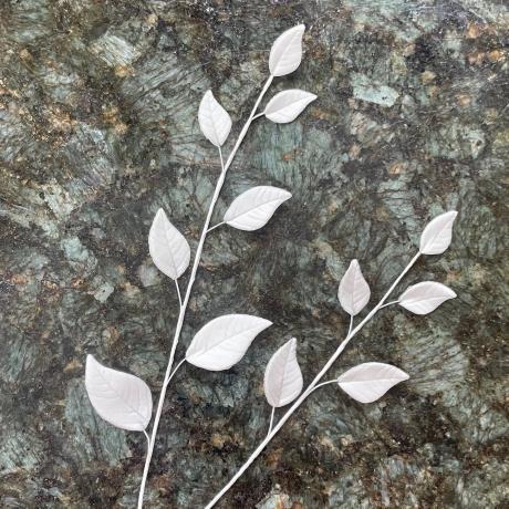 Trailing White Eucaluptus Leaves