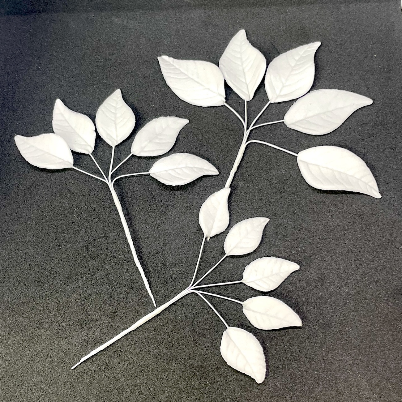 Trailing White Eucalyptus Leaves