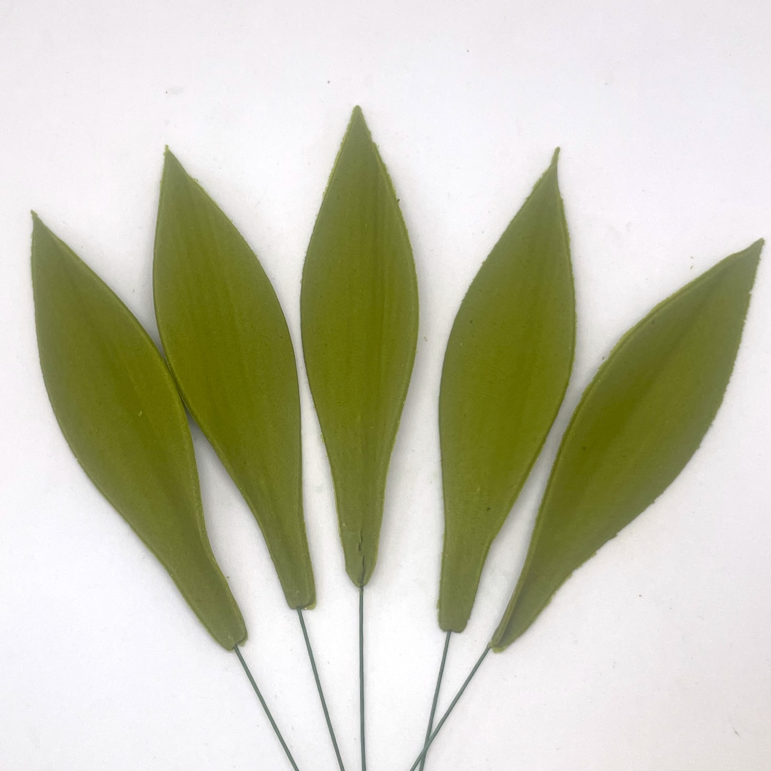 Sugar Calla Lily Leaves