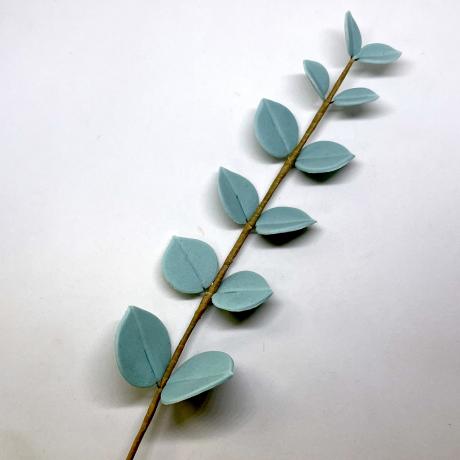 Eucalyptus Leaf Sprays