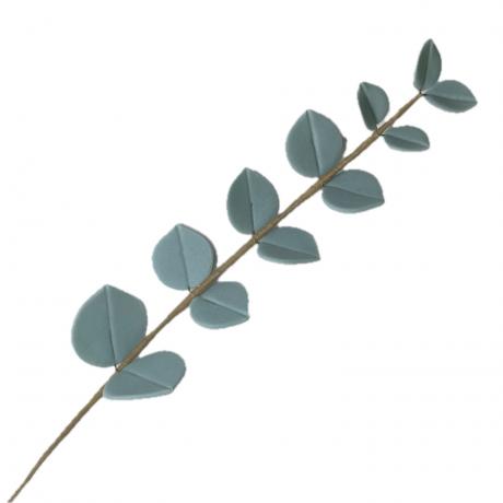Eucalyptus Leaf Sprays