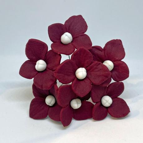 Burgundy Hydrangea Heads