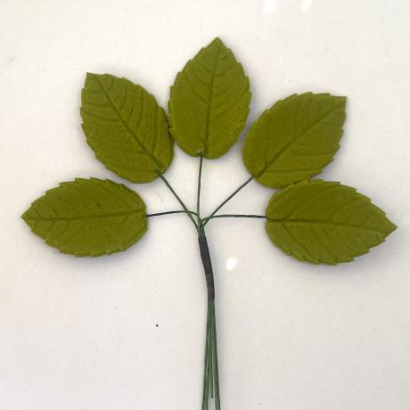 Medium Sugar Rose Leaves