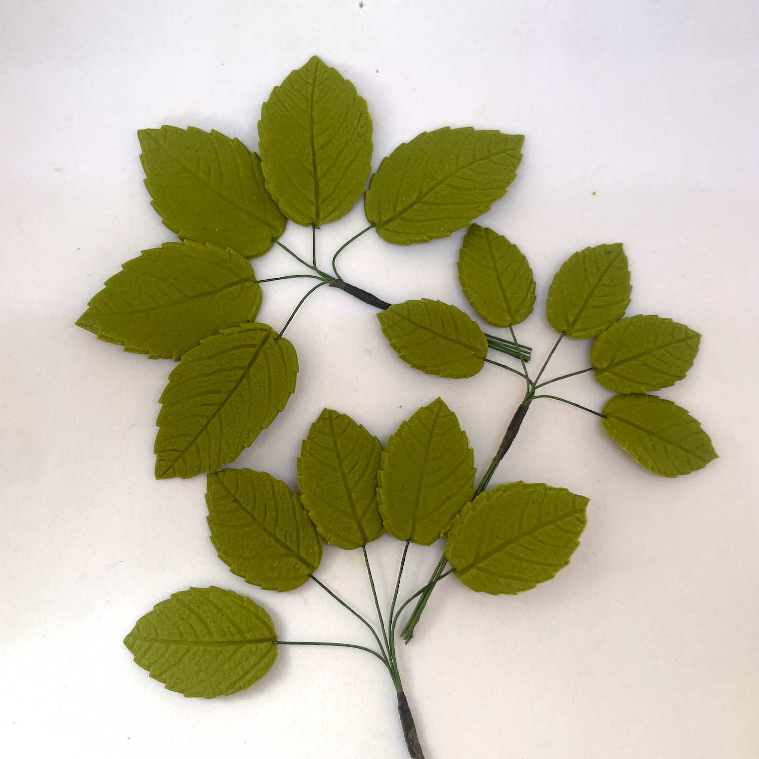 Sugar Rose Leaves