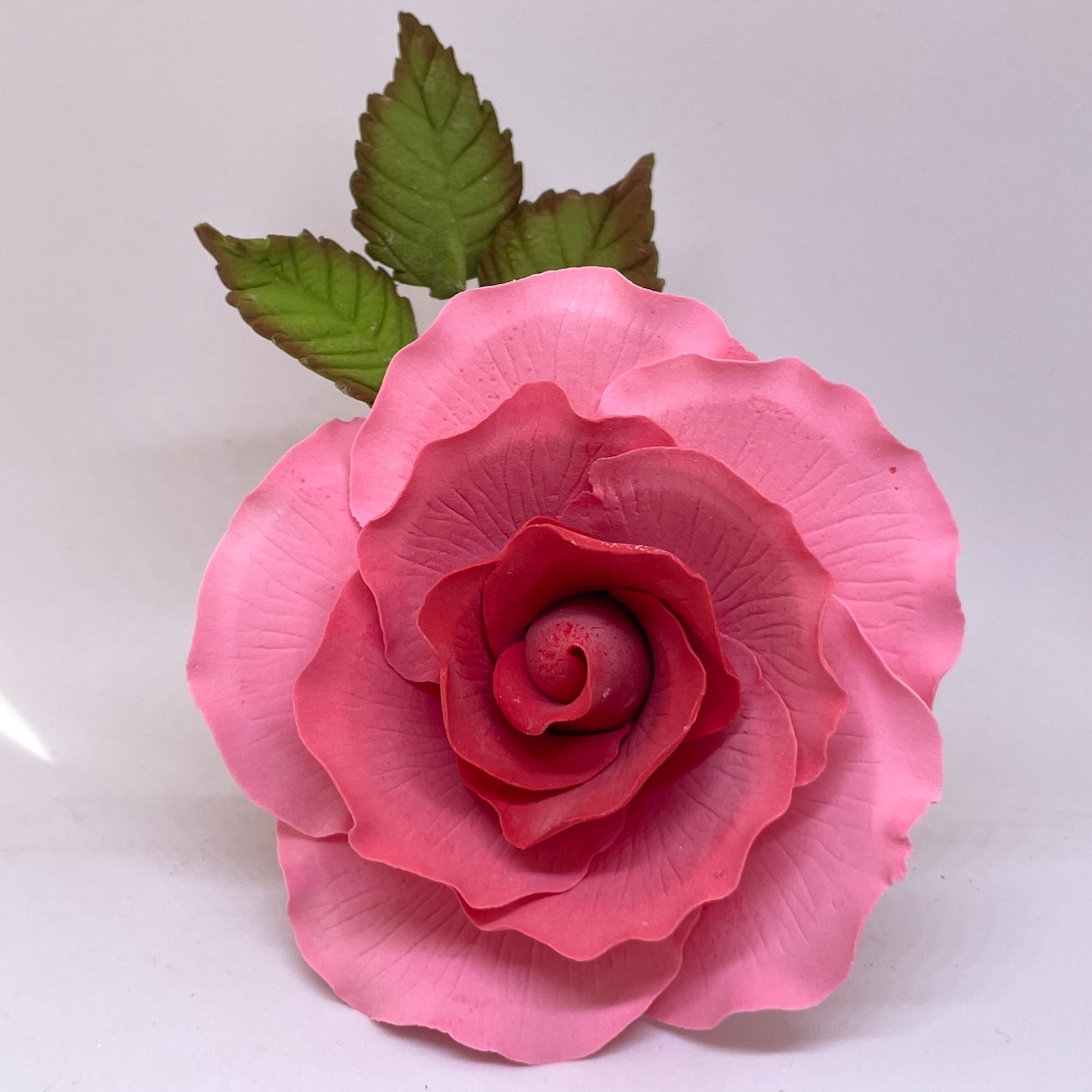 Blush Pink Sugar Rose