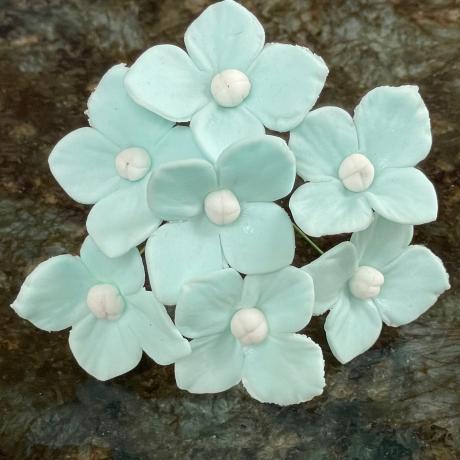 Hydrangea Blue