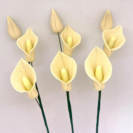 Cream Calla Lily Stems