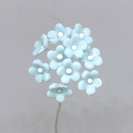 Pale Blue Forget-me-Nots