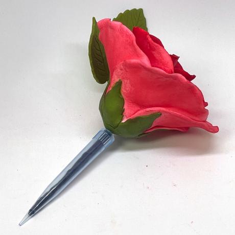 Rose with Posy Pic