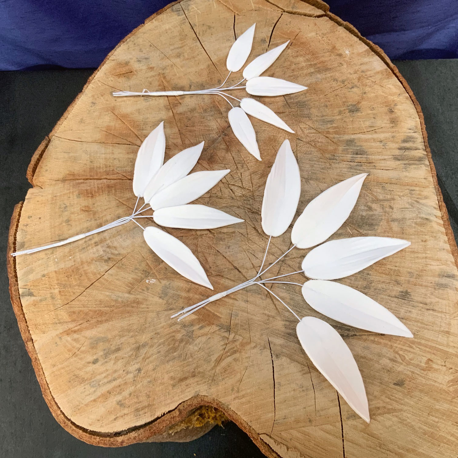 Trailing White Leaves
