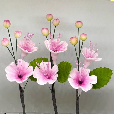 Cherry Blossoms with Leaves