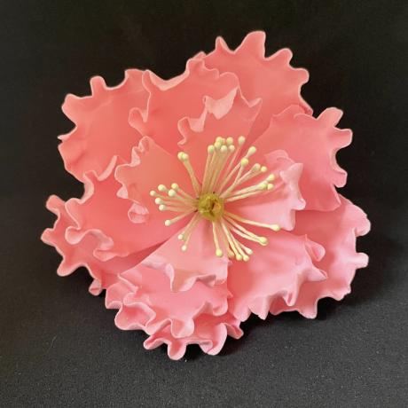 Medium Pink Sugar Peony Rose