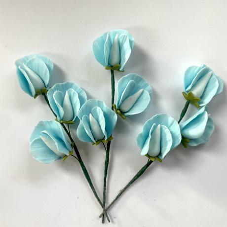 Blue Sugar Sweet Peas