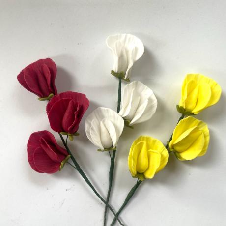 Sugar Sweet Peas