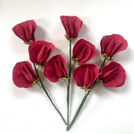 Red Sugar Sweet Peas