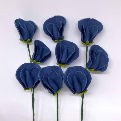 Navy Sugar Sweet Peas