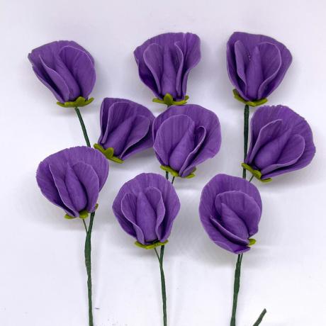 Purple Sugar Sweet Peas