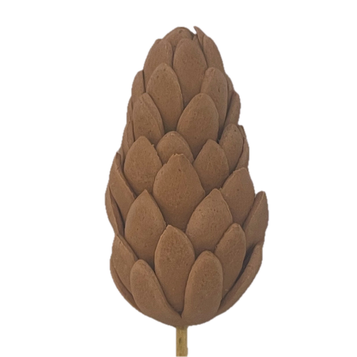 Sugar Pine Cone 