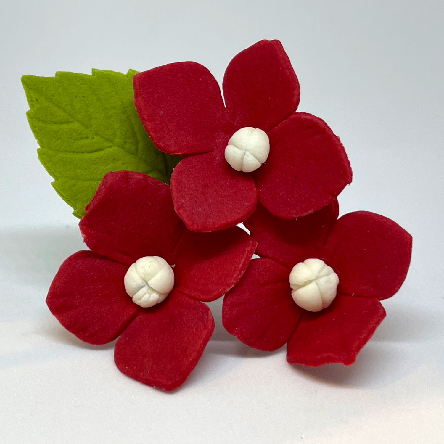 Red Hydrangea Bouquet