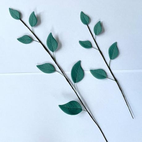 Trailing Sugar Eucalyptus Leaves