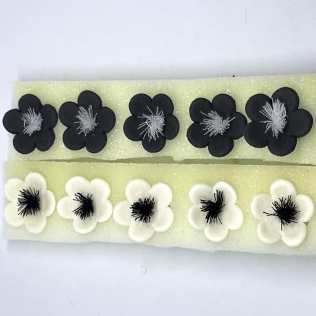 Black and White Sugar Anemonies