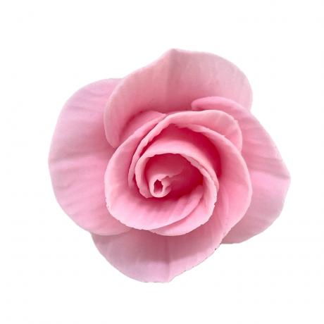 Medium Baby Pink Sugar Rose
