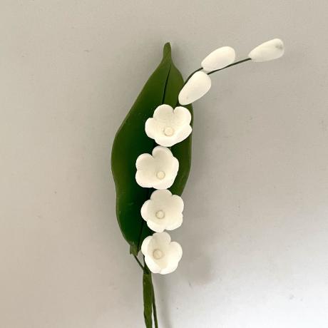 Lily-of-the-Valley with Leaf