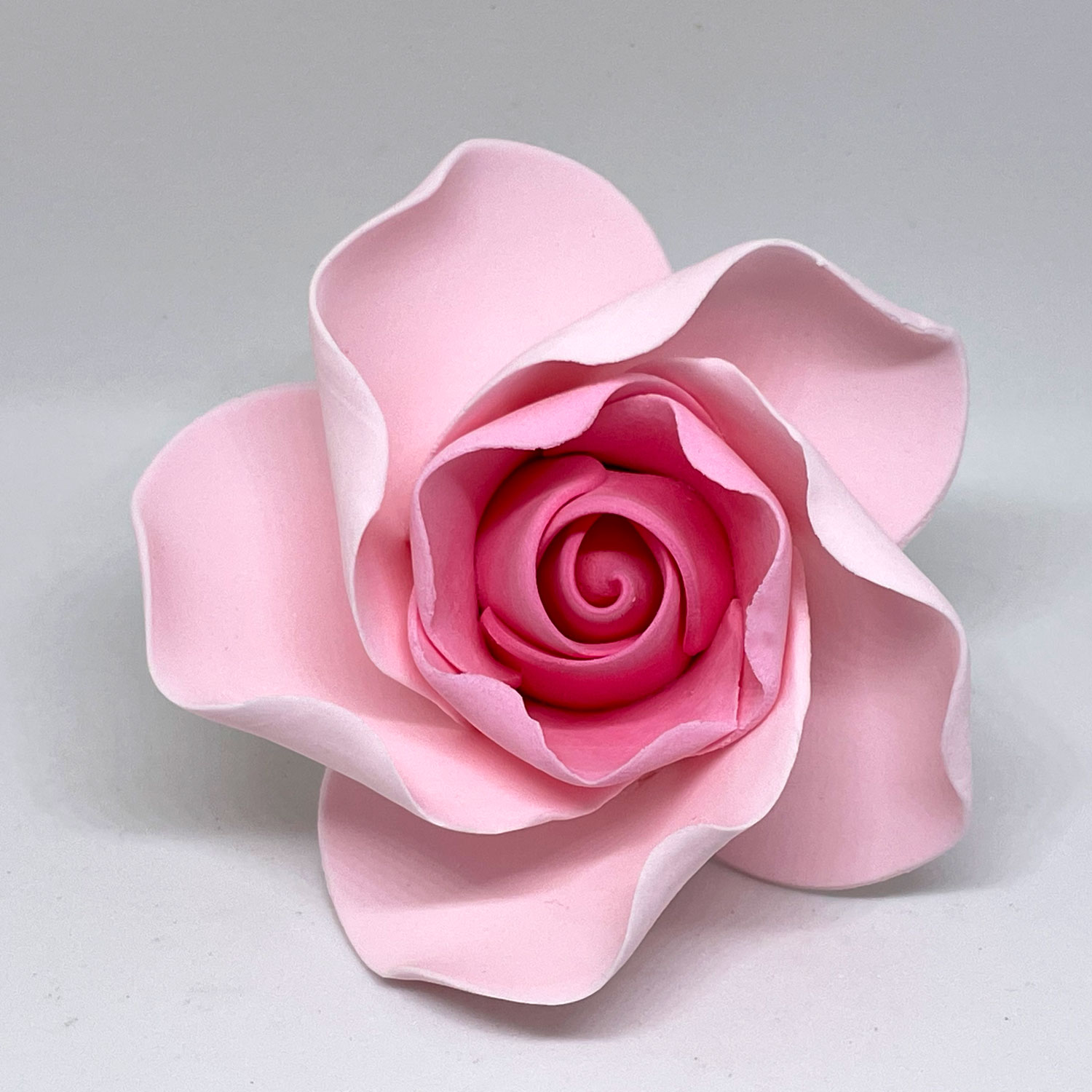 Two Tone Pink Sugar Rose