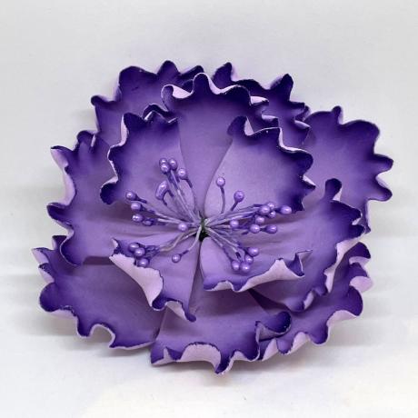 Two Tone Lilac and Purple Peony Rose
