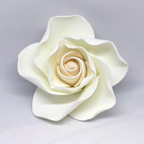 Large Ivory Open Rose Head