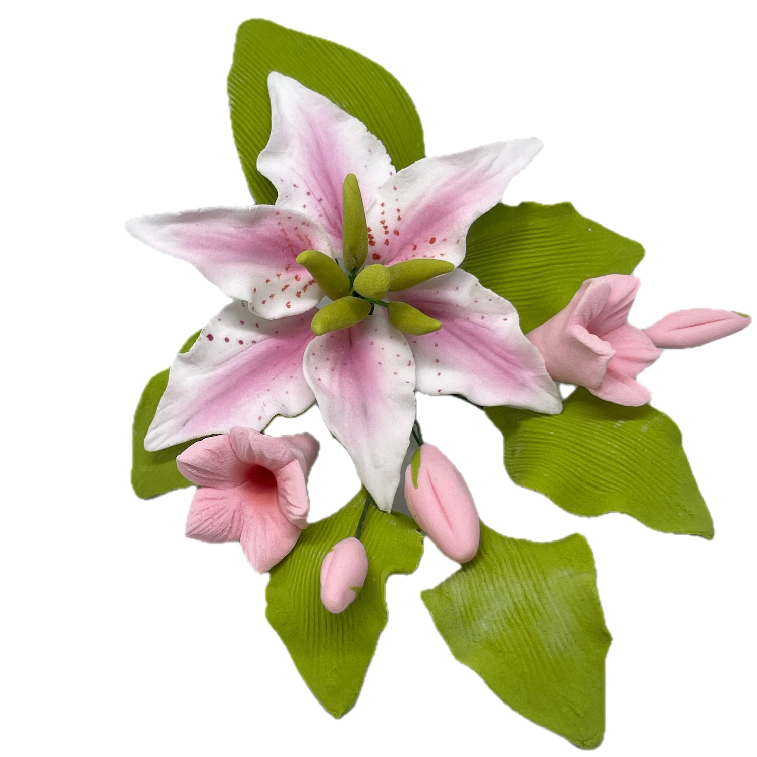 Pale Pink Stargazer Lily Spray