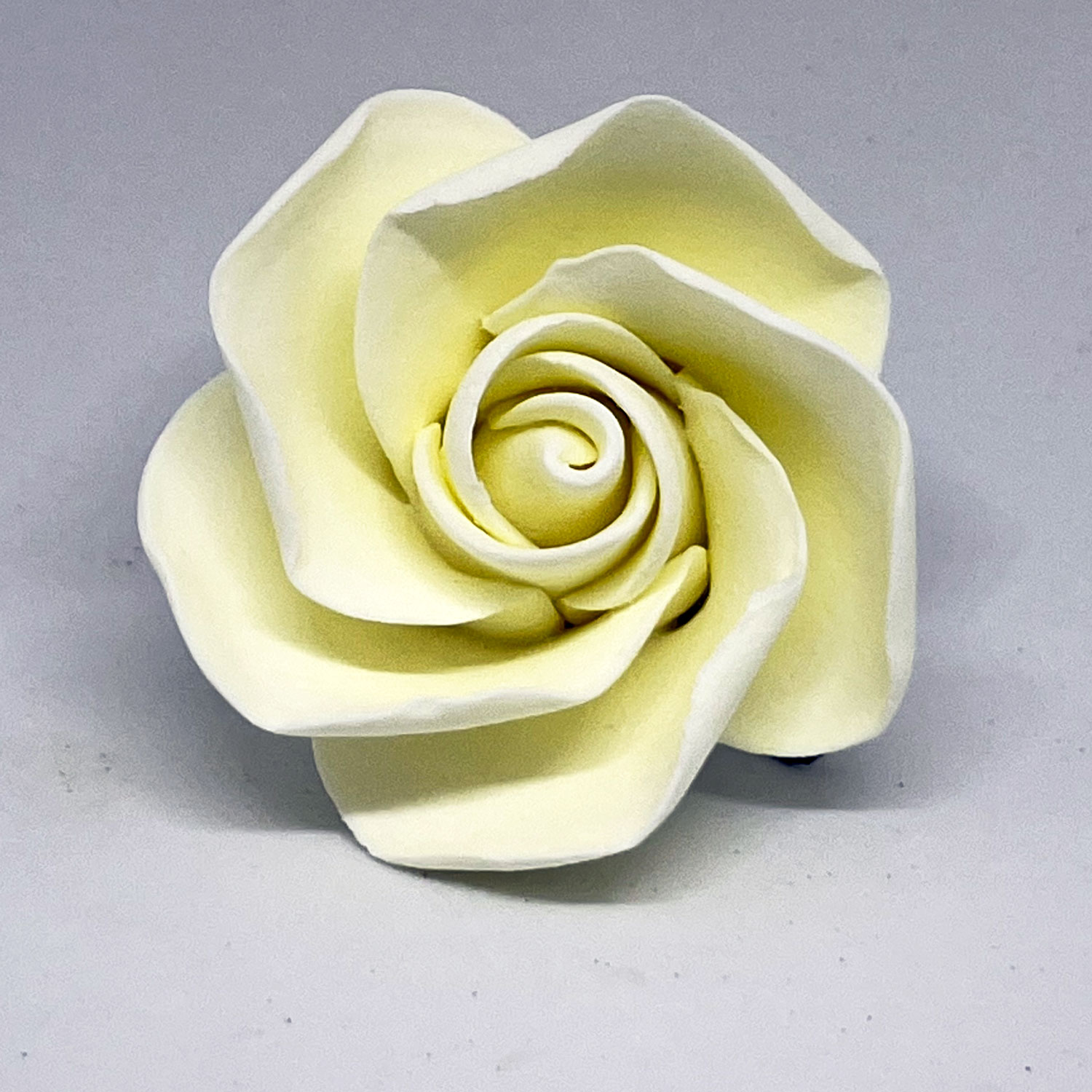 Ivory Open Sugar Rose