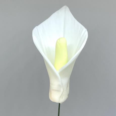 White Calla Lily