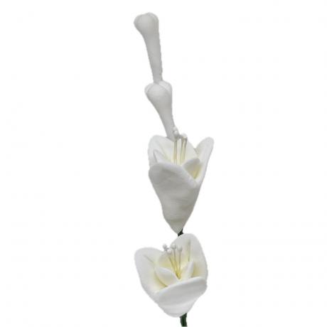 White Feesia Spray